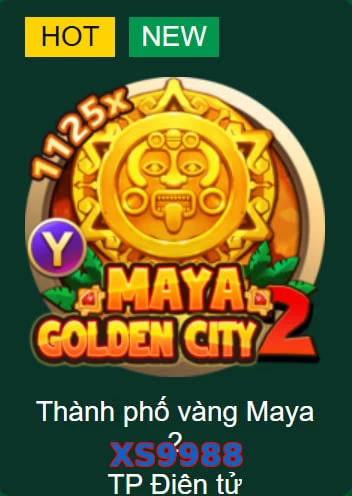 XS9988